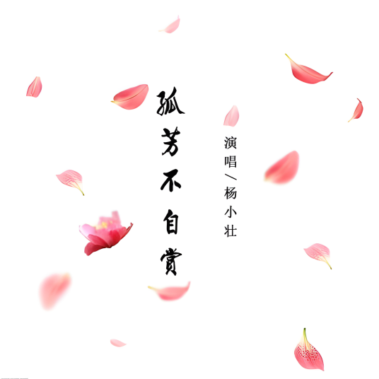 孤芳不自赏（杨小壮演唱歌曲）