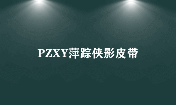 PZXY萍踪侠影皮带