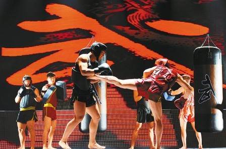 中国国家武术散打队