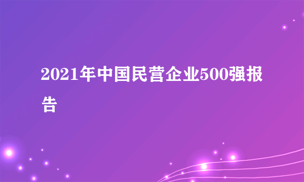 2021年中国民营企业500强报告