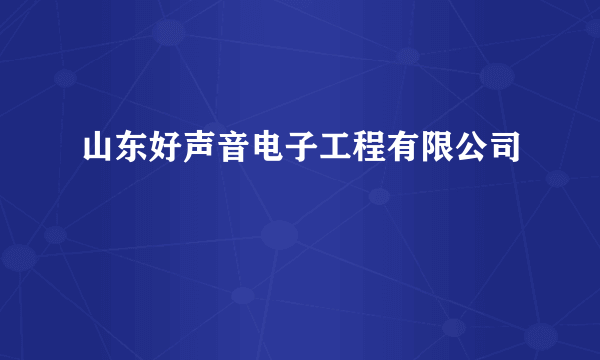 山东好声音电子工程有限公司