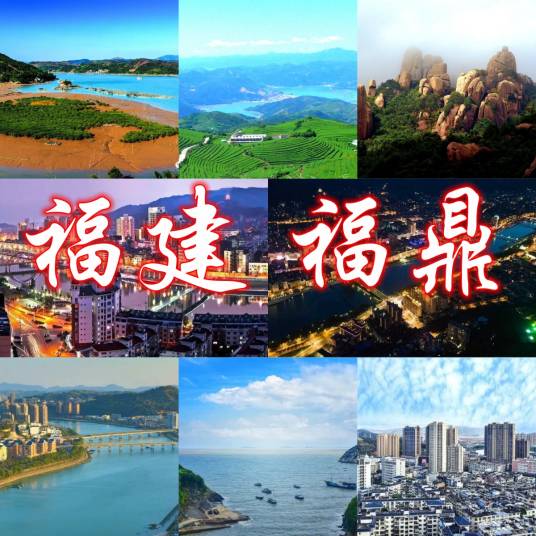 福鼎市