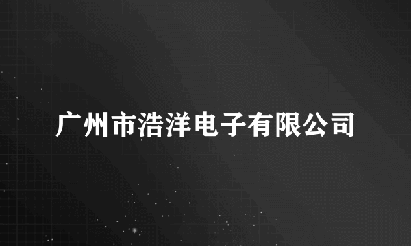广州市浩洋电子有限公司