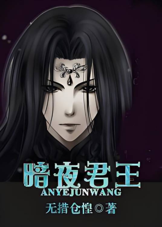 无赦之暗夜君王