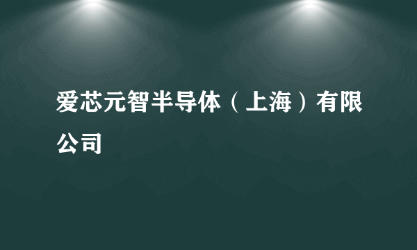 爱芯元智半导体（上海）有限公司