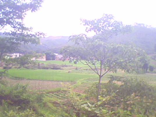双罗村（江西省龙南市夹湖乡下辖村）