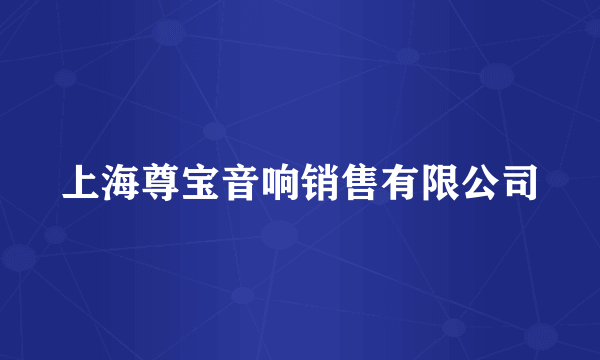 上海尊宝音响销售有限公司