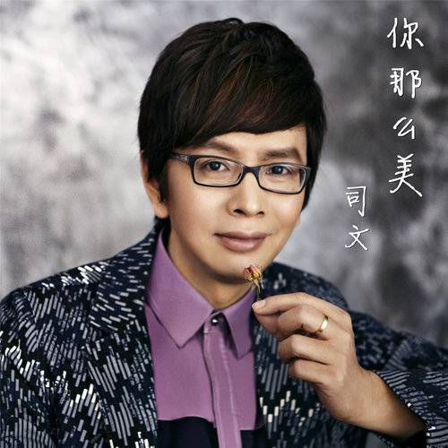你那么美（司文演唱歌曲）