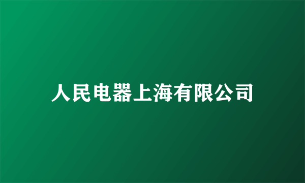 人民电器上海有限公司