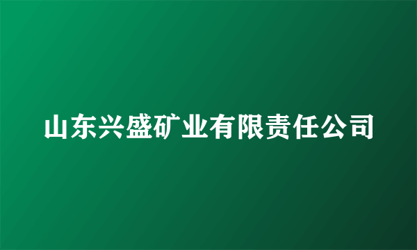山东兴盛矿业有限责任公司