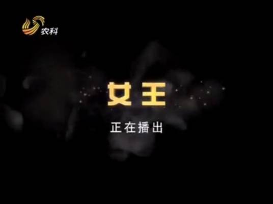 女王（2011年田少波、黄国柱执导的剧情电影）