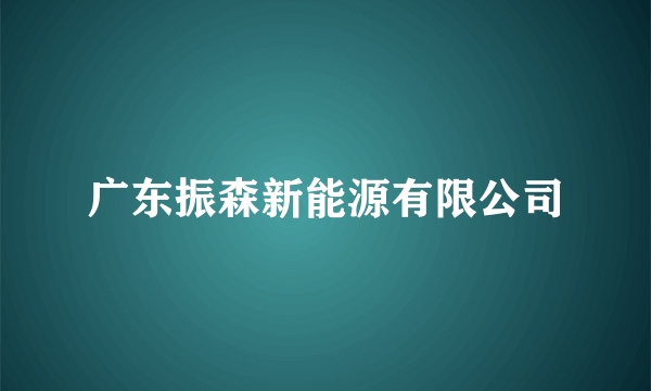 广东振森新能源有限公司