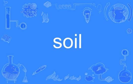 soil（英文单词）