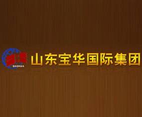山东宝华国际集团有限公司