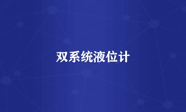 双系统液位计