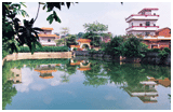 华涌村