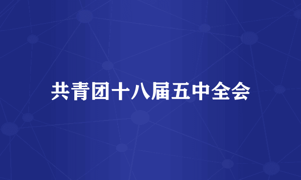 共青团十八届五中全会