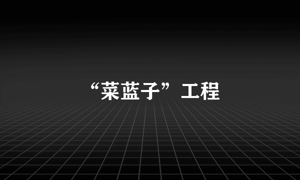 “菜蓝子”工程