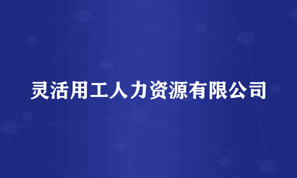 灵活用工人力资源有限公司