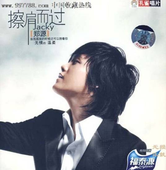 擦肩而过（2008年郑源演唱歌曲）