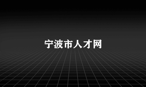 宁波市人才网