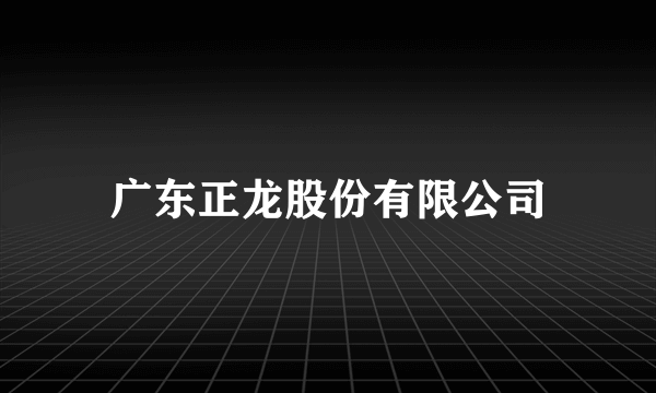 广东正龙股份有限公司