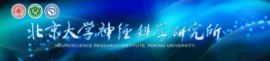 北京大学神经科学研究所