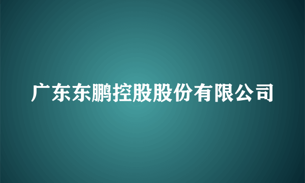 广东东鹏控股股份有限公司