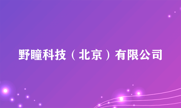 野瞳科技（北京）有限公司