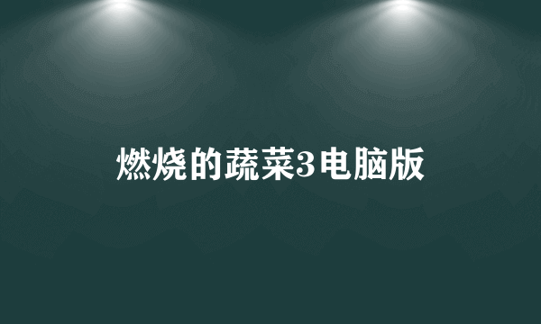 燃烧的蔬菜3电脑版