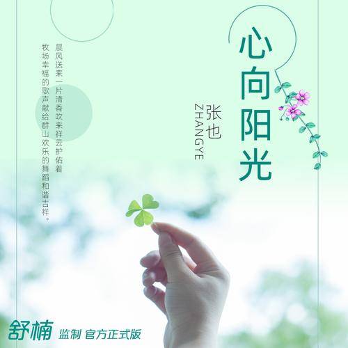 心向阳光（张也演唱歌曲）