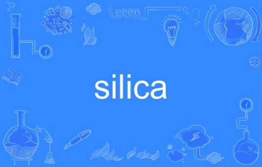 silica（英语单词）