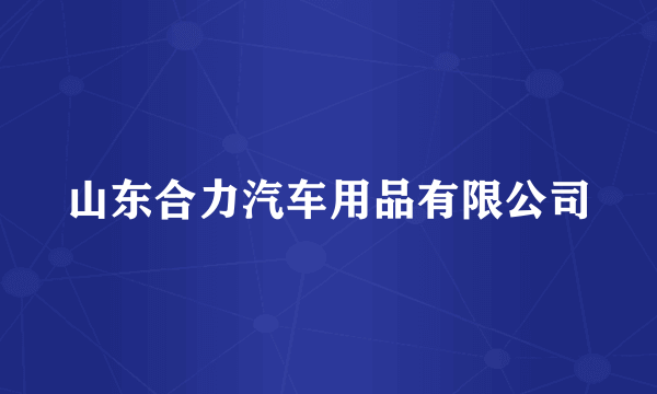 山东合力汽车用品有限公司