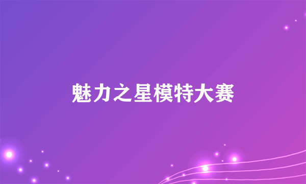 魅力之星模特大赛