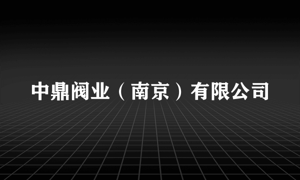 中鼎阀业（南京）有限公司