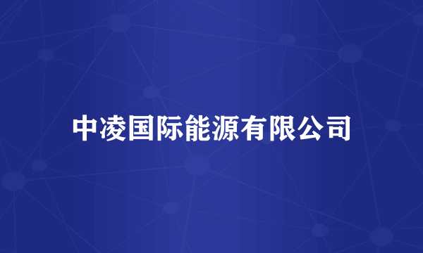 中凌国际能源有限公司