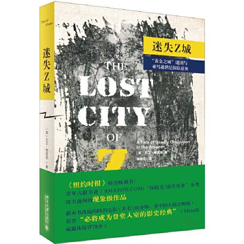 迷失Z城（2017年北京大学出版社出版的图书）