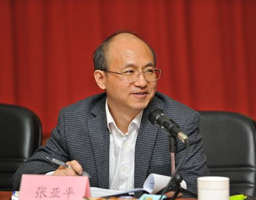 张亚平（集美大学教授）