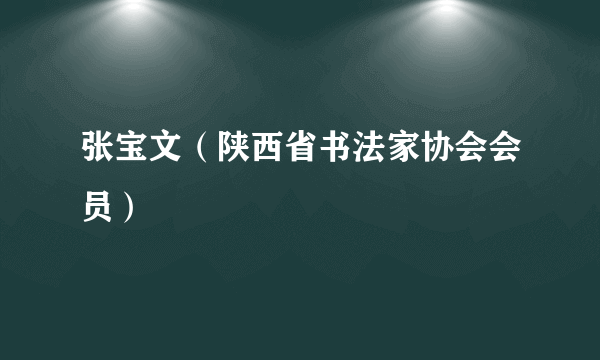 张宝文（陕西省书法家协会会员）
