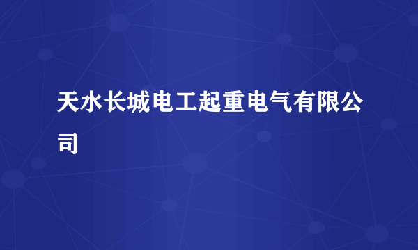 天水长城电工起重电气有限公司