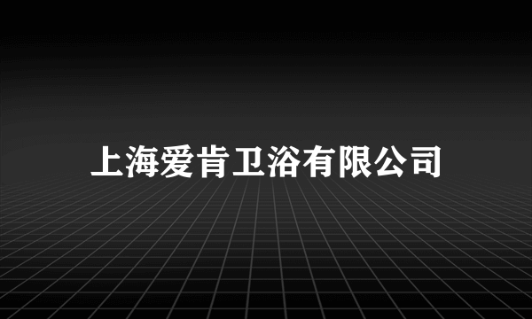 上海爱肯卫浴有限公司
