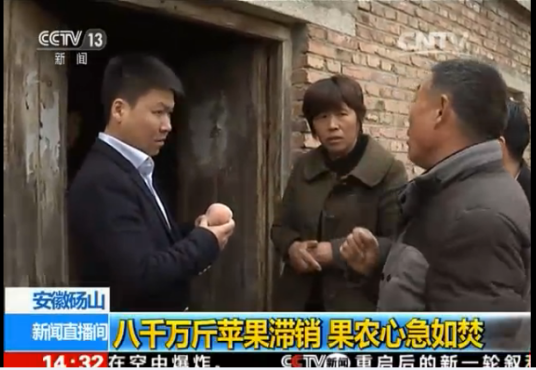 砀山苹果滞销事件