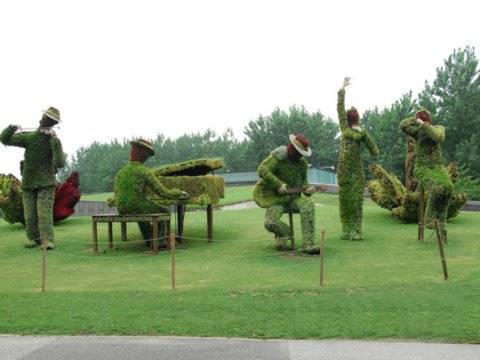 植物人乐队