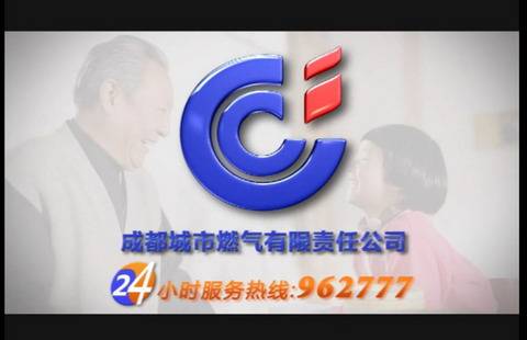 成都城市燃气有限责任公司