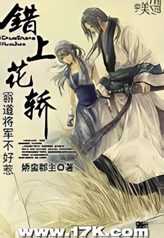 错上花轿：霸道将军不好惹