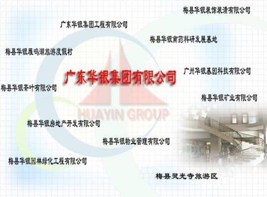 广东华银集团有限公司