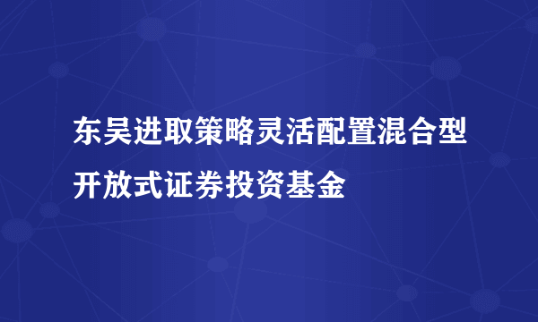 东吴进取策略灵活配置混合型开放式证券投资基金