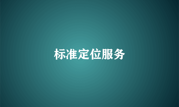 标准定位服务