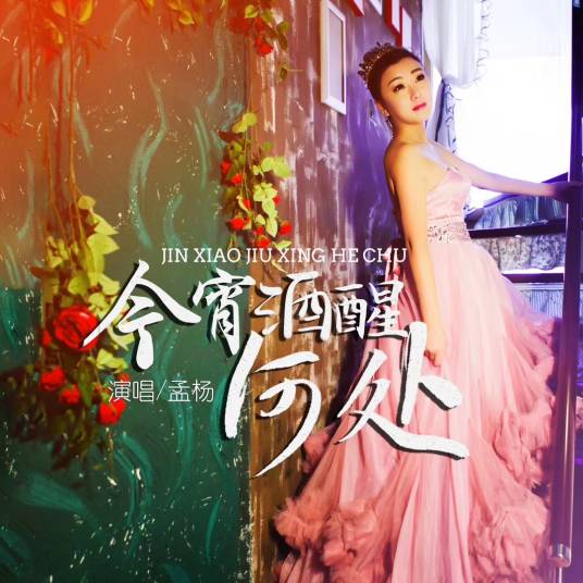 今宵酒醒何处（孟杨演唱歌曲）