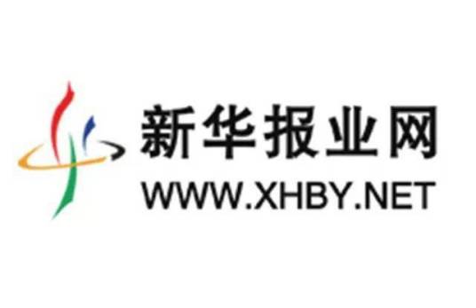 新华报业网